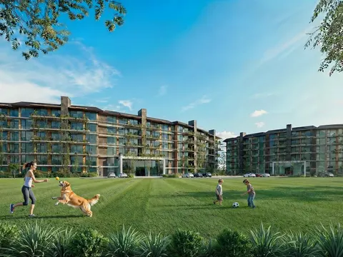 Tortugas Woods